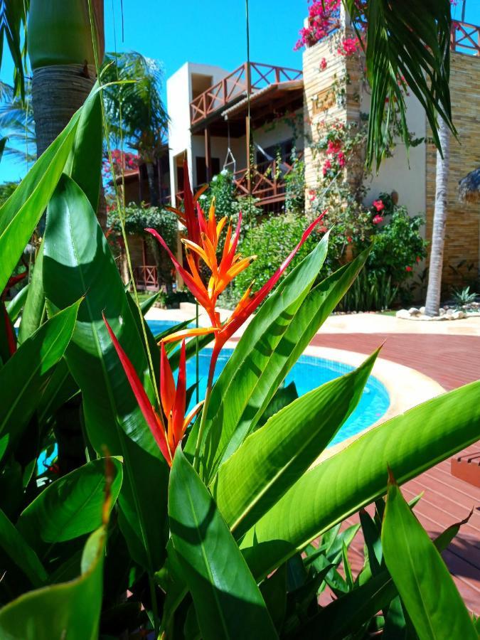Serrote Apartamento จีโจกา จี เจรีกวากวารา ภายนอก รูปภาพ